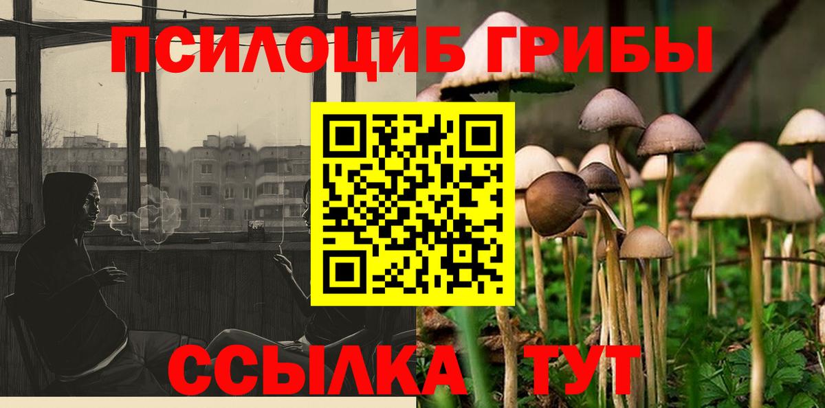 где можно купить наркотик  Псилоцибиновые грибы мухоморы  Красный Сулин  Вход с VPN  Галлюциногенные грибы Cubensis 
