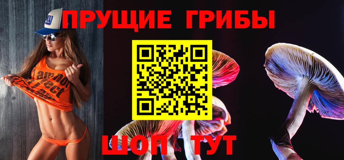 Галлюциногенные грибы Cubensis Красный Сулин